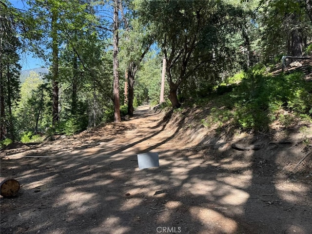 0 Fernland Dr, Idyllwild, CA 92549 - photo 2