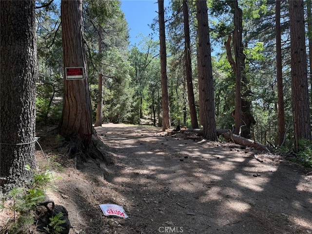 0 Fernland Dr, Idyllwild, CA 92549 - photo 32
