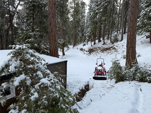 0 Fernland Dr, Idyllwild, CA 92549 - photo 28