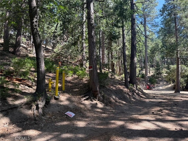 0 Fernland Dr, Idyllwild, CA 92549 - photo 30
