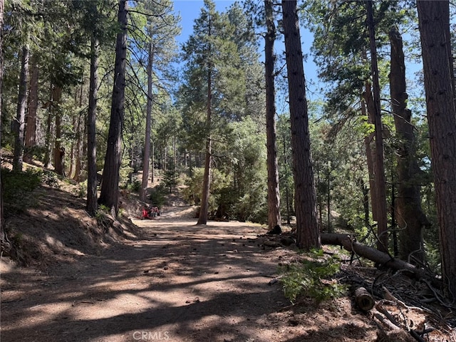0 Fernland Dr, Idyllwild, CA 92549 - photo 29
