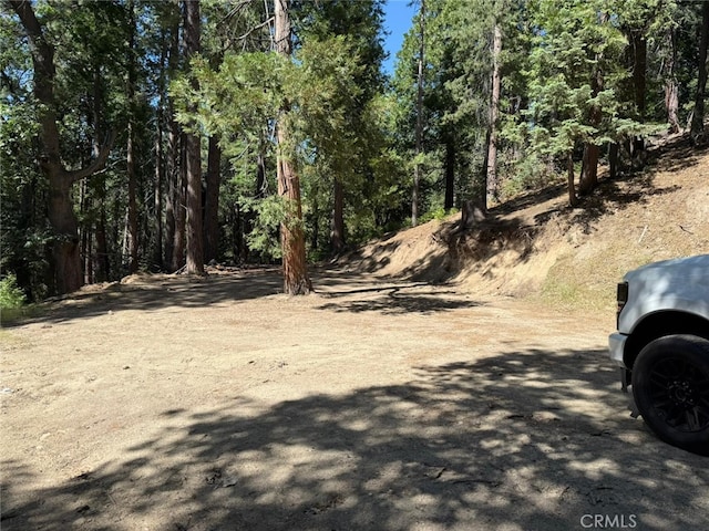 0 Fernland Dr, Idyllwild, CA 92549 - photo 4