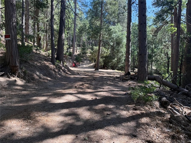 0 Fernland Dr, Idyllwild, CA 92549 - photo 31
