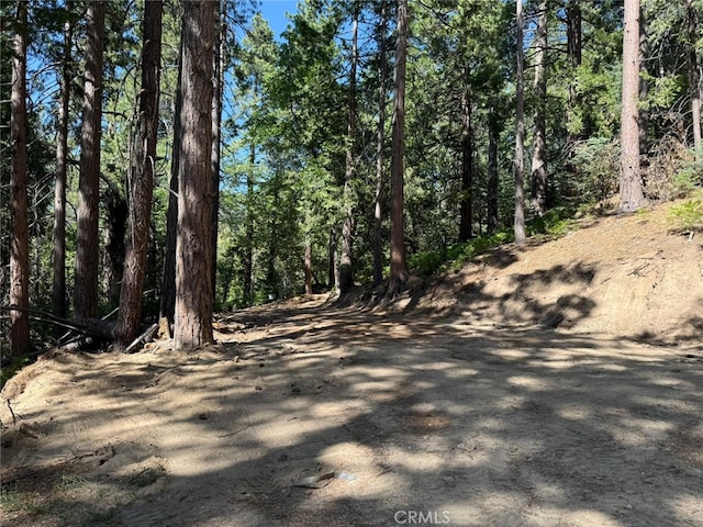0 Fernland Dr, Idyllwild, CA 92549 - photo 3