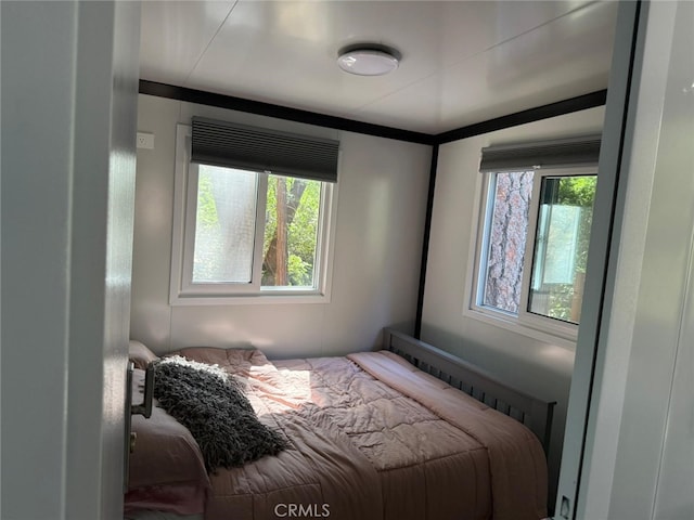 0 Fernland Dr, Idyllwild, CA 92549 - photo 13