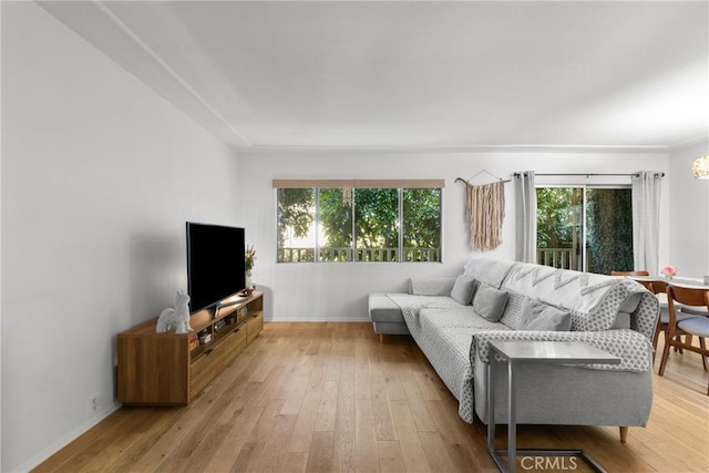 4859 Coldwater Canyon Ave Unit 4, Sherman Oaks, CA 91423 - living room with light wood-style floors and baseboards