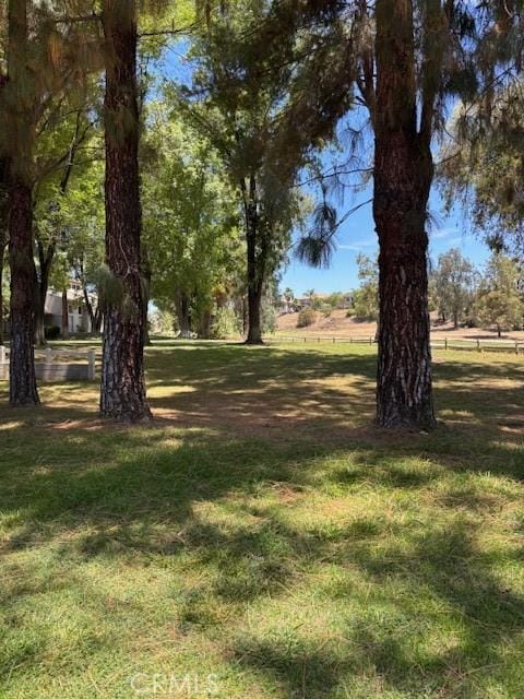 29441 Via La Plz, Murrieta, CA 92563 - view of green lawn