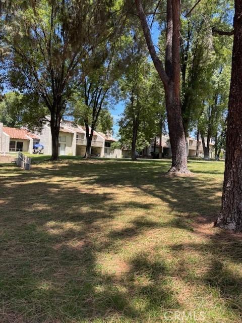 29441 Via La Plz, Murrieta, CA 92563 - view of green lawn