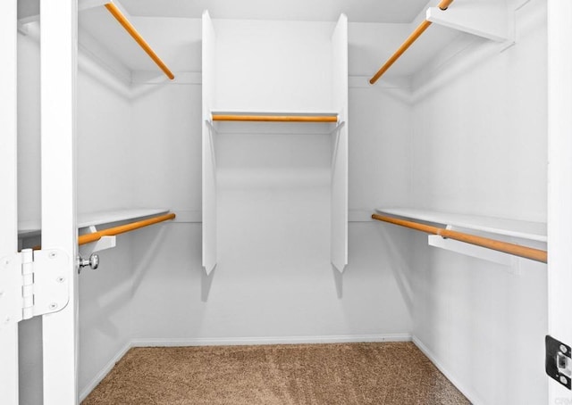 1789 Perrin Pl, Chula Vista, CA 91913 - spacious closet with carpet flooring
