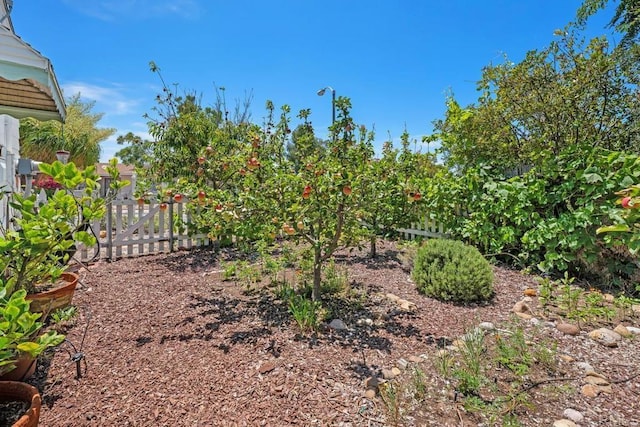 4886 Twain Ave, San Diego, CA 92120 - view of yard
