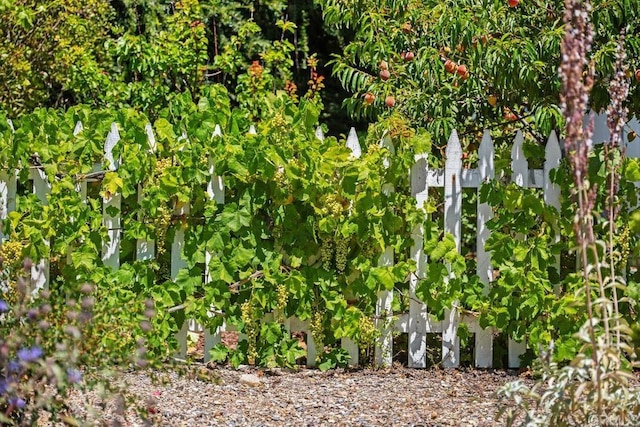 4886 Twain Ave, San Diego, CA 92120 - view of nature