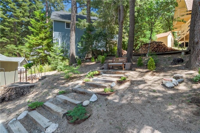 37667 Live Oak St, Angelus Oaks, CA 92305 - view of yard