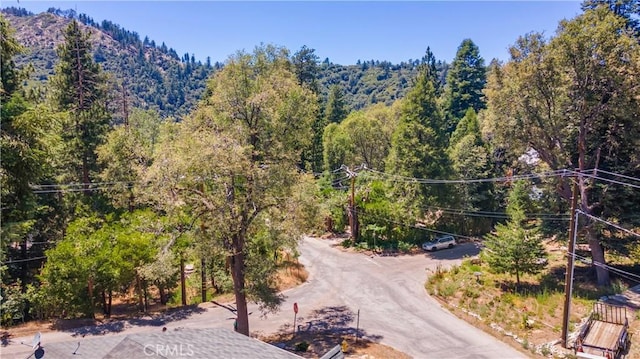 37667 Live Oak St, Angelus Oaks, CA 92305 - view of mountain background with a forest