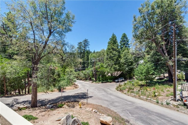 37667 Live Oak St, Angelus Oaks, CA 92305 - view of asphalt road