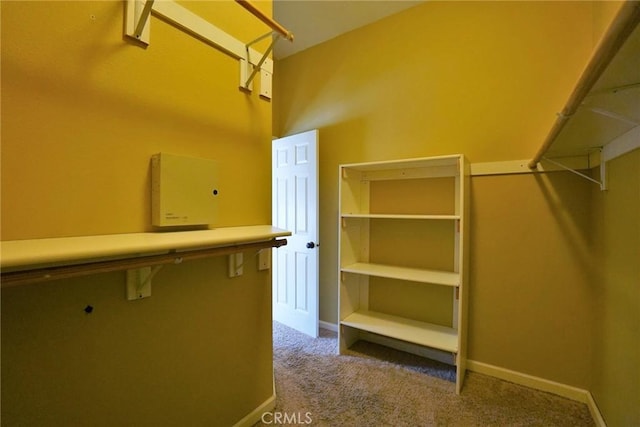 845 E Redwood Cir, Hanford, CA 93230 - spacious closet with carpet flooring