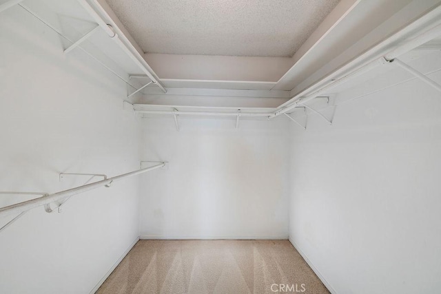 5870 Green Valley Cir Unit 231, Culver City, CA 90230 - walk in closet with carpet flooring