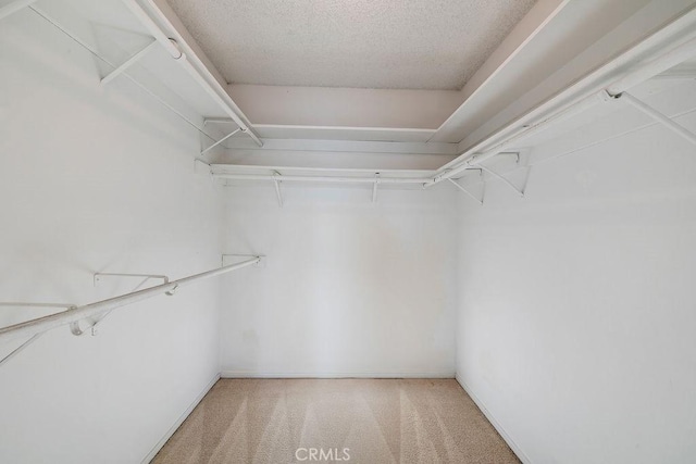 5870 Green Valley Cir Unit 231, Culver City, CA 90230 - photo 28
