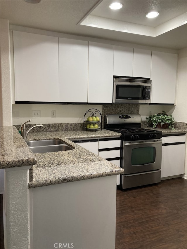 132 Sandpiper Ln, Aliso Viejo, CA 92656 - kitchen featuring appliances with stainless steel finishes, a tray ceiling, white cabinetry, dark wood-type flooring, and recessed lighting