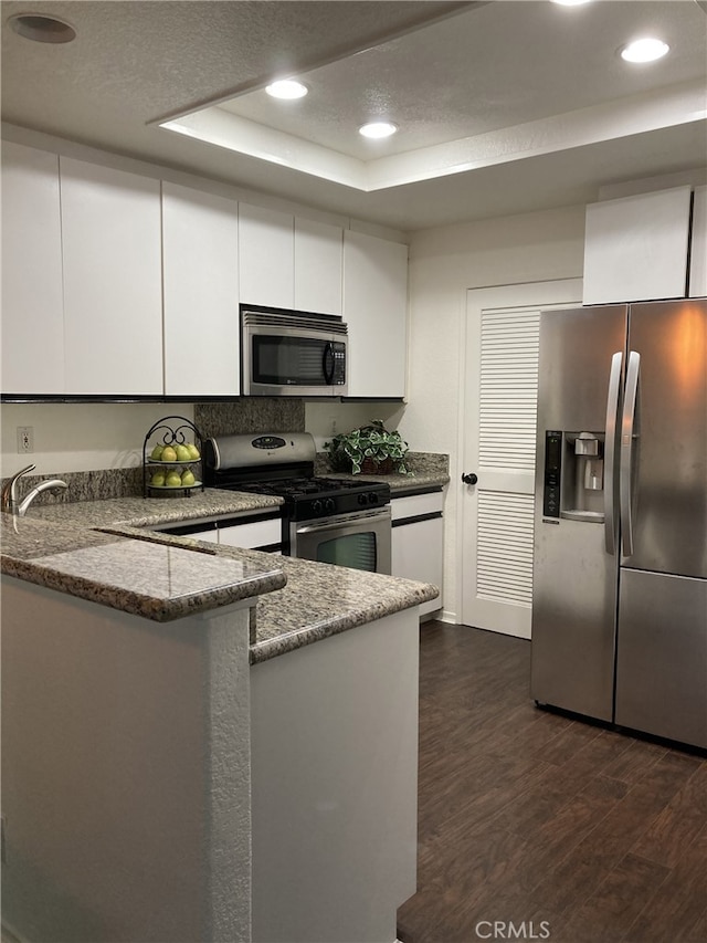 132 Sandpiper Ln, Aliso Viejo, CA 92656 - kitchen featuring appliances with stainless steel finishes, a raised ceiling, dark wood-style floors, white cabinetry, and a peninsula