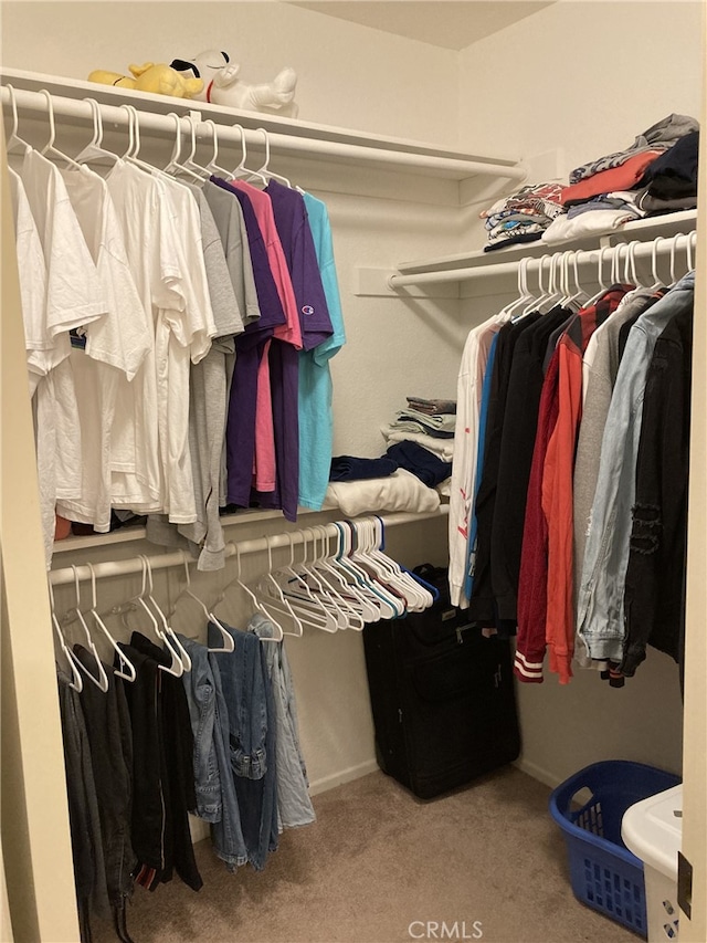 132 Sandpiper Ln, Aliso Viejo, CA 92656 - spacious closet with carpet flooring