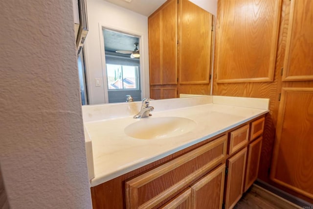 3833 Via Del Bardo, San Ysidro, CA 92173 - bathroom with vanity, a textured wall, and wood finished floors