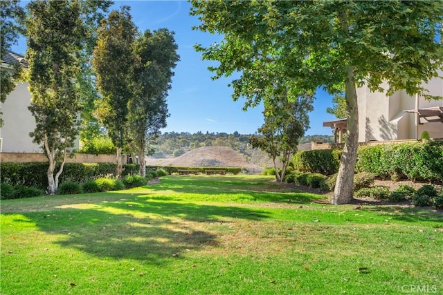 25 Thalia St, Ladera Ranch, CA 92694 - view of grassy yard
