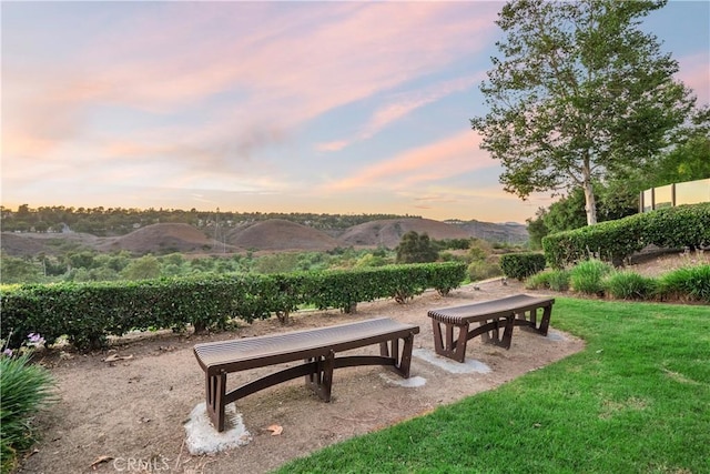 25 Thalia St, Ladera Ranch, CA 92694 - surrounding community with a yard