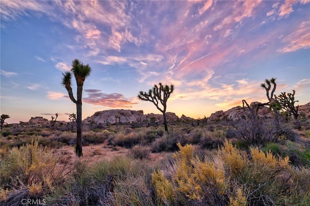 65076 E Broadway, Joshua Tree, CA 92252 - view of mountain backdrop
