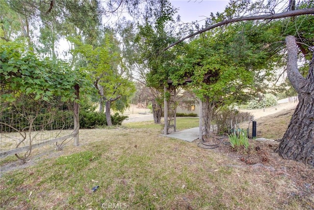 6305 Portola Rd, Atascadero, CA 93422 - view of green lawn