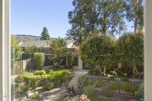 2142 Klamath Dr, Camarillo, CA 93010 - view of yard