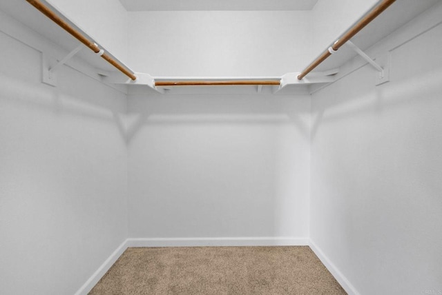 853 Dana Point Way, Oceanside, CA 92058 - spacious closet with carpet