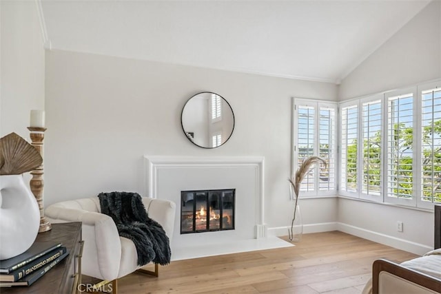 9 Phillips Cir, Laguna Niguel, CA 92677 - sitting room featuring vaulted ceiling, wood finished floors, and a fireplace with flush hearth