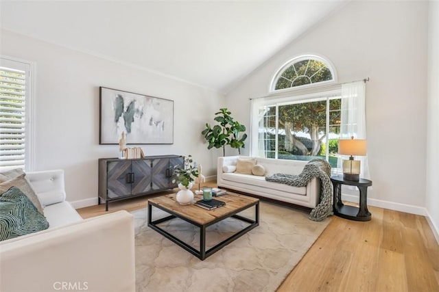 9 Phillips Cir, Laguna Niguel, CA 92677 - living area featuring wood finished floors and high vaulted ceiling
