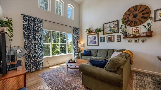 28653 Bar Hbr, Temecula, CA 92591 - living area featuring plenty of natural light, wood finished floors, and a high ceiling