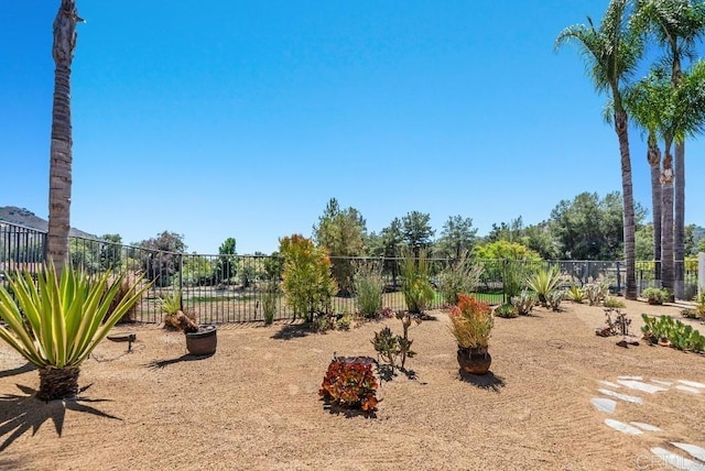 3131 Ferncreek Ln, Escondido, CA 92027 - view of yard