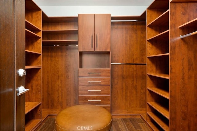 447 N Doheny Dr Unit 104, Beverly Hills, CA 90210 - spacious closet with dark wood-style flooring