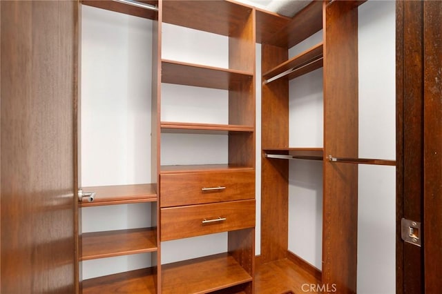 447 N Doheny Dr Unit 104, Beverly Hills, CA 90210 - view of walk in closet
