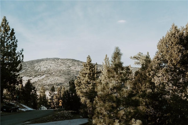 212 Mann Dr, Big Bear City, CA 92314 - photo 40