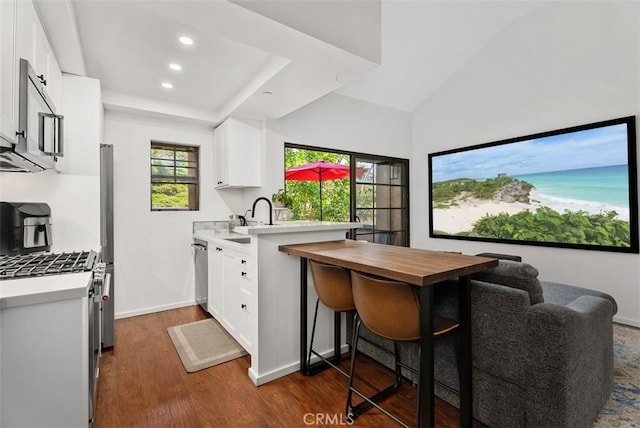 1046 Calle Del Cerro Unit 408, San Clemente, CA 92672 - kitchen featuring stainless steel appliances, light countertops, dark wood finished floors, white cabinets, and recessed lighting