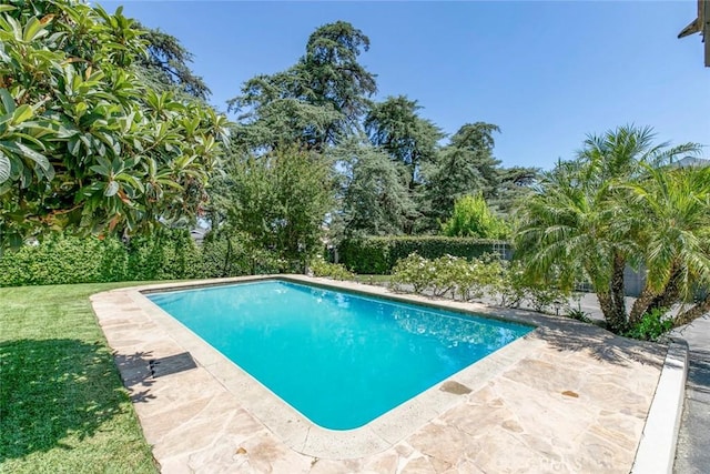 11063 White Oak Ave, Granada Hills, CA 91344 - outdoor pool featuring a patio area