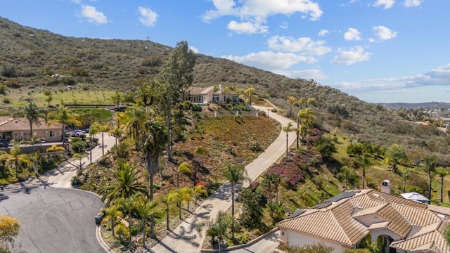 2945 Stonefield Dr, Jamul, CA 91935 - photo 48