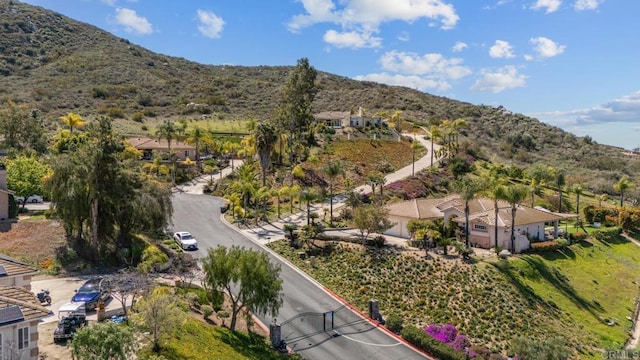 2945 Stonefield Dr, Jamul, CA 91935 - photo 46