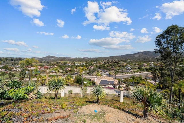 2945 Stonefield Dr, Jamul, CA 91935 - photo 58