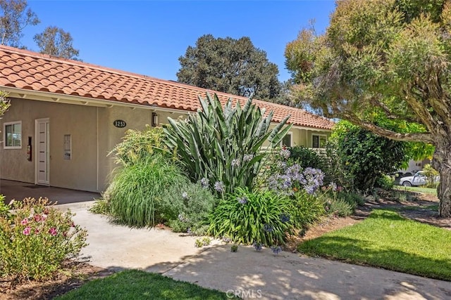 3253 San Amadeo Unit P, Laguna Woods, CA 92637 - view of exterior entry with stucco siding and a tiled roof