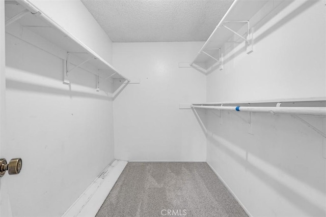 675 S College Ave, Claremont, CA 91711 - walk in closet featuring carpet