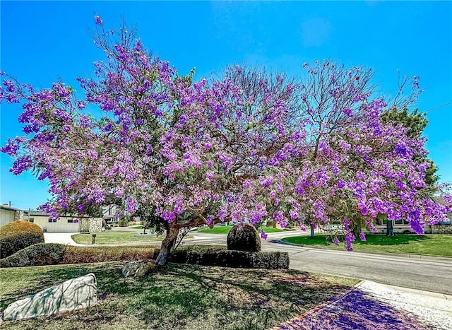 4931 Saint Andrews Ave, Buena Park, CA 90621 - view of community featuring a yard