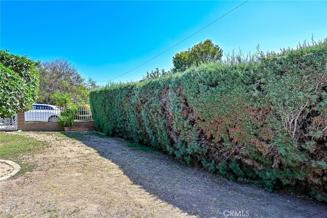 4931 Saint Andrews Ave, Buena Park, CA 90621 - view of yard