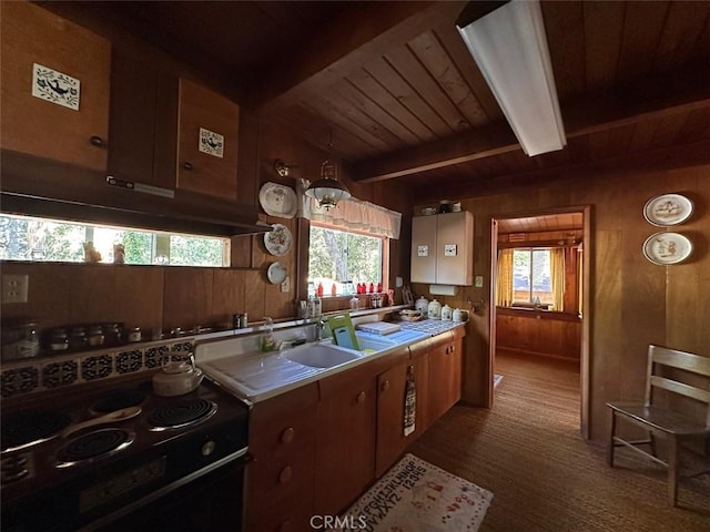 41132 Oak Dr, Forest Falls, CA 92339 - kitchen with electric range oven, wooden walls, a wood ceiling with exposed beams, light countertops, and healthy amount of natural light