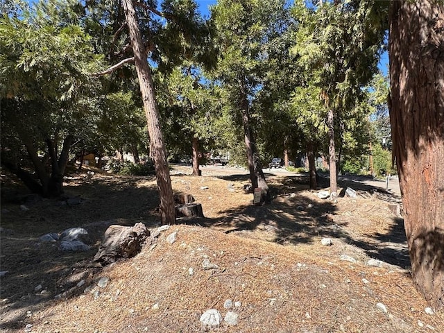 41132 Oak Dr, Forest Falls, CA 92339 - view of nature