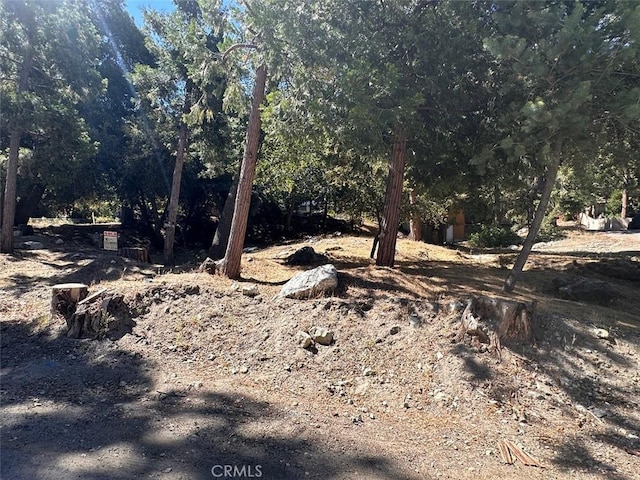 41132 Oak Dr, Forest Falls, CA 92339 - view of woods